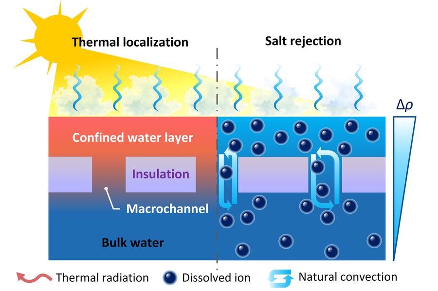 Novel Low-Cost Strategy for High-Performance Solar Evaporation.