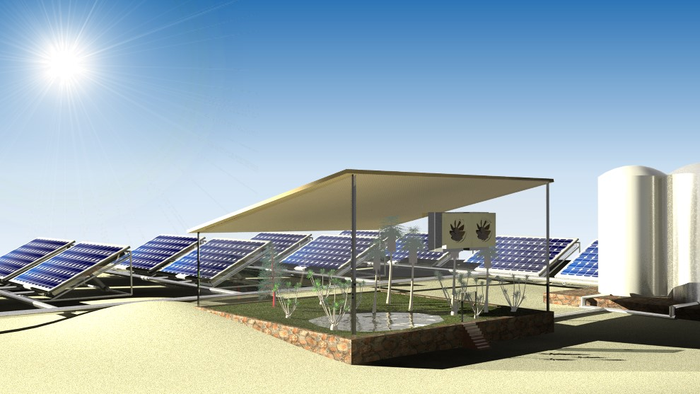Solar-Driven System Successfully Grows Spinach by Using Water Drawn from the Air.