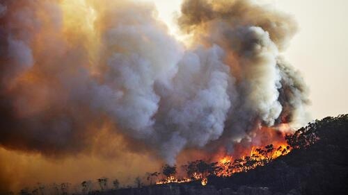 Major Wildfires Destroy the Stratospheric Ozone.