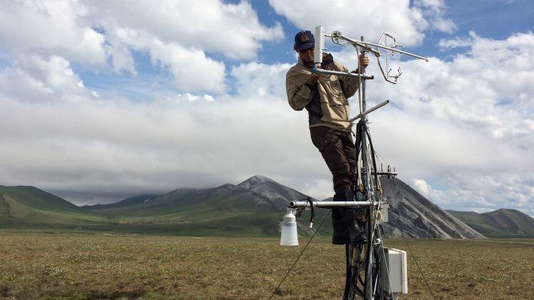 Earlier Snowmelt Impacts Carbon Sequestration in Arctic Tundra Ecosystems.