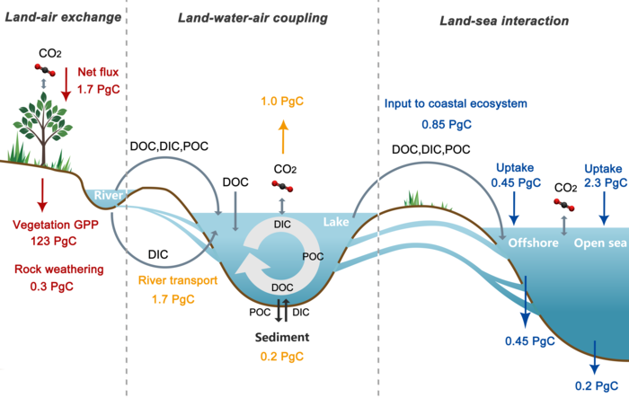Study Analyzes Land-Water-Gas Carbon Transport and Carbon Budget Changes and their Influencing Mechanisms.