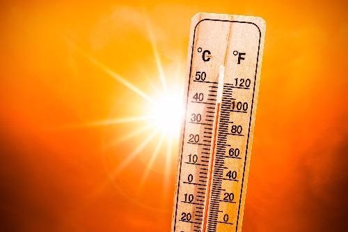 Researchers Determine the Most Intense Heatwaves Across the World.