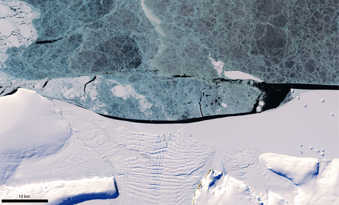 海洋海洋海洋可以释放冰藻，从而导致冰晶冰骨