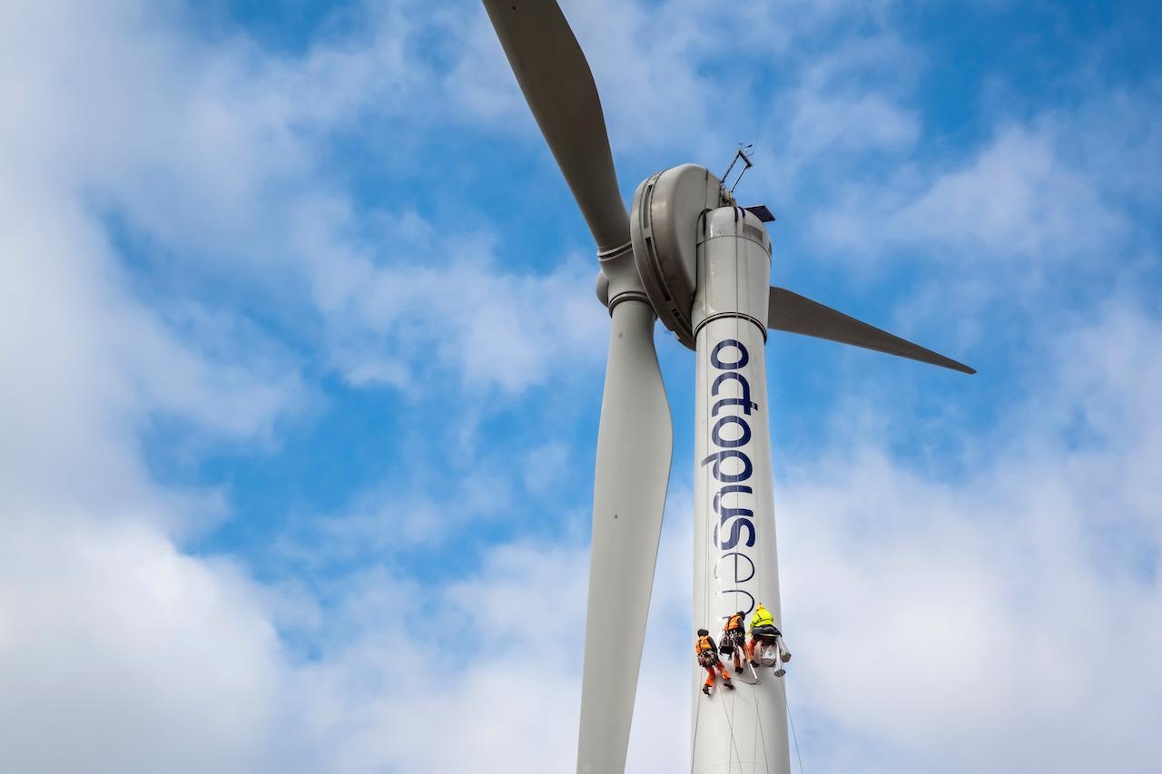 Octopus Energy Enters German Renewable Generation Market with First Wind Farm Investment