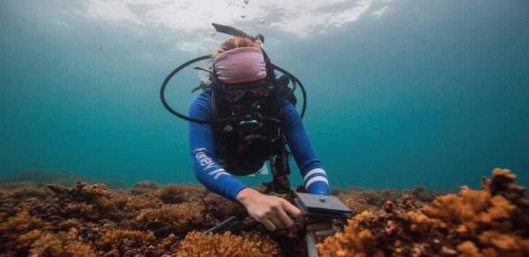 Monitoring Distant Coral Reefs is Now Possible Using a Standardized Method for Measuring Calcium Carbonate.