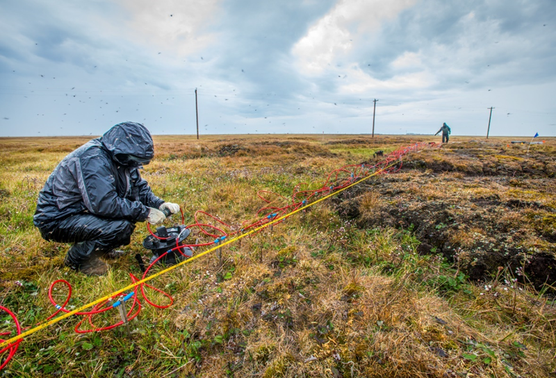 Study Improves Climate Model Predictions by Studying Arctic Terrestrial Ecosystems.