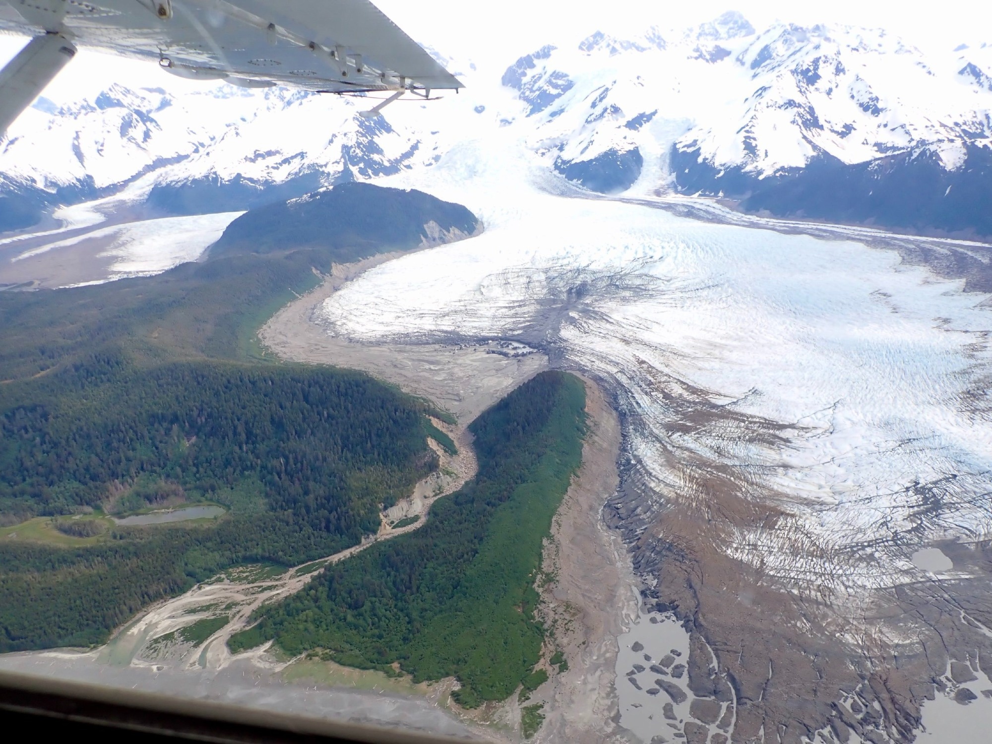 Glacial Microclimates Helps Researchers Predict How Forests Will React to Climate Change.