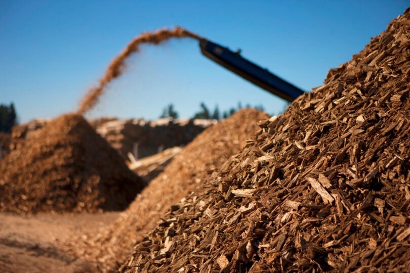 Switching to Woody Biomass in Power Plants to Reduce Carbon.