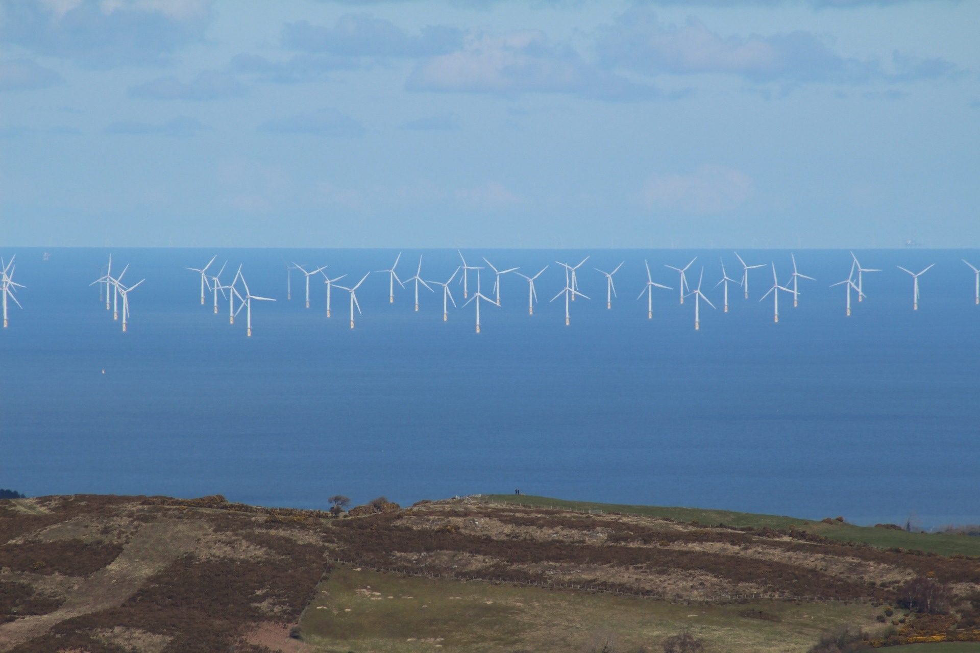 CGG加入英国财团评估海上风电场生态系统影响的项目