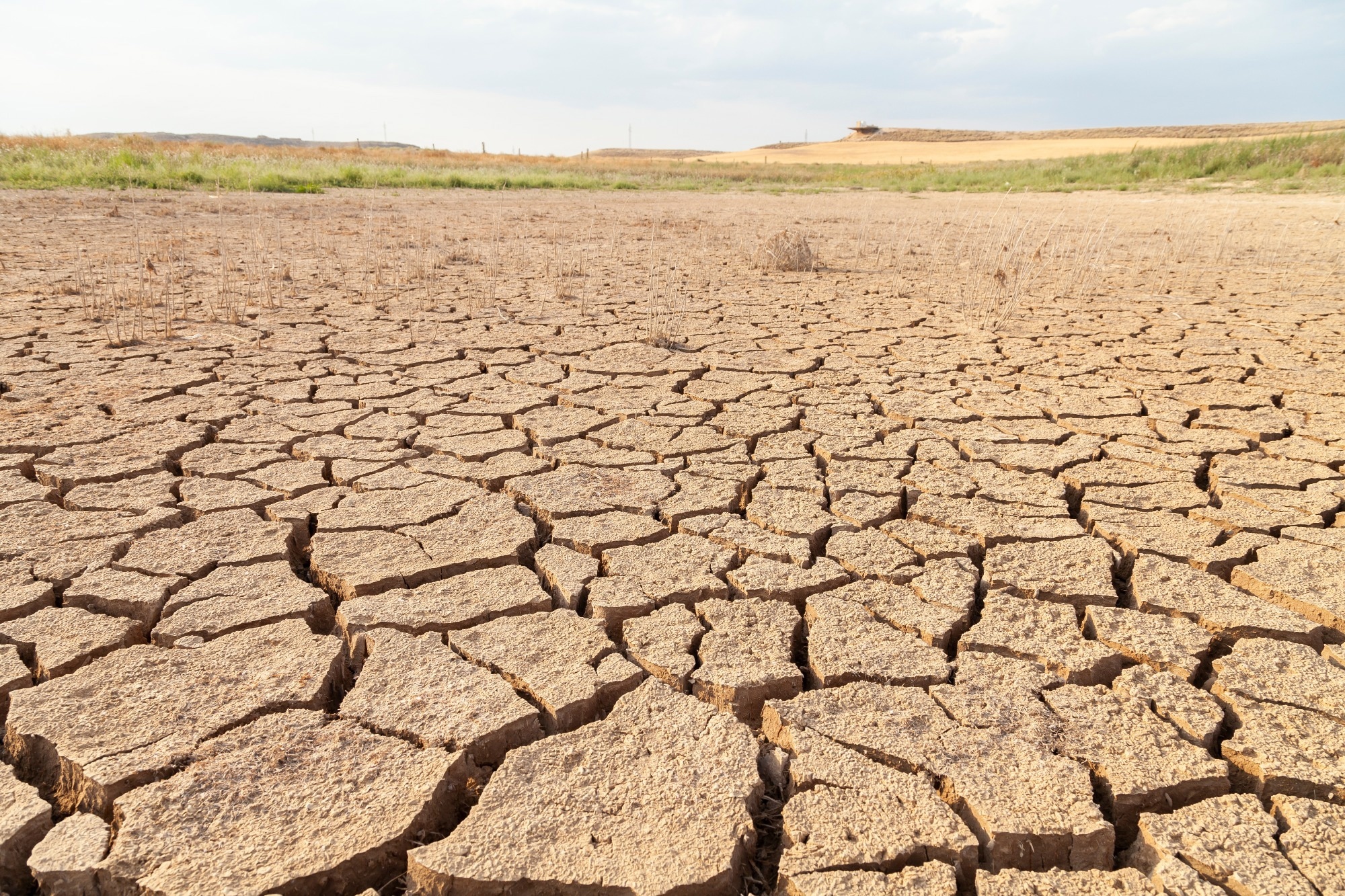 全球变暖加剧了“突发性干旱”事件