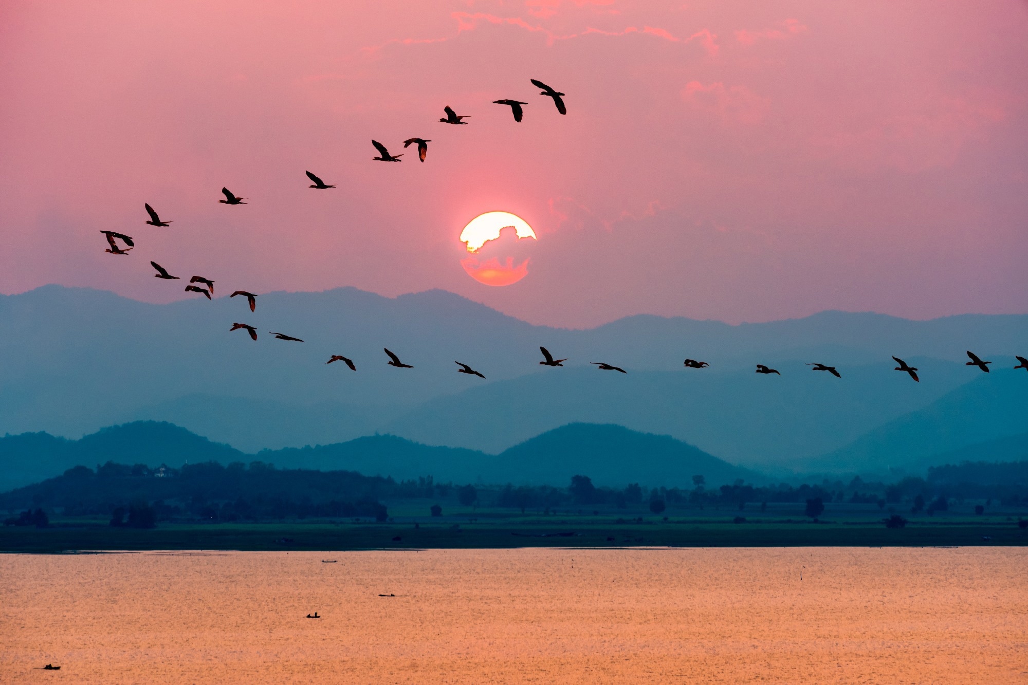光污染对夜间迁徙鸟类的影响
