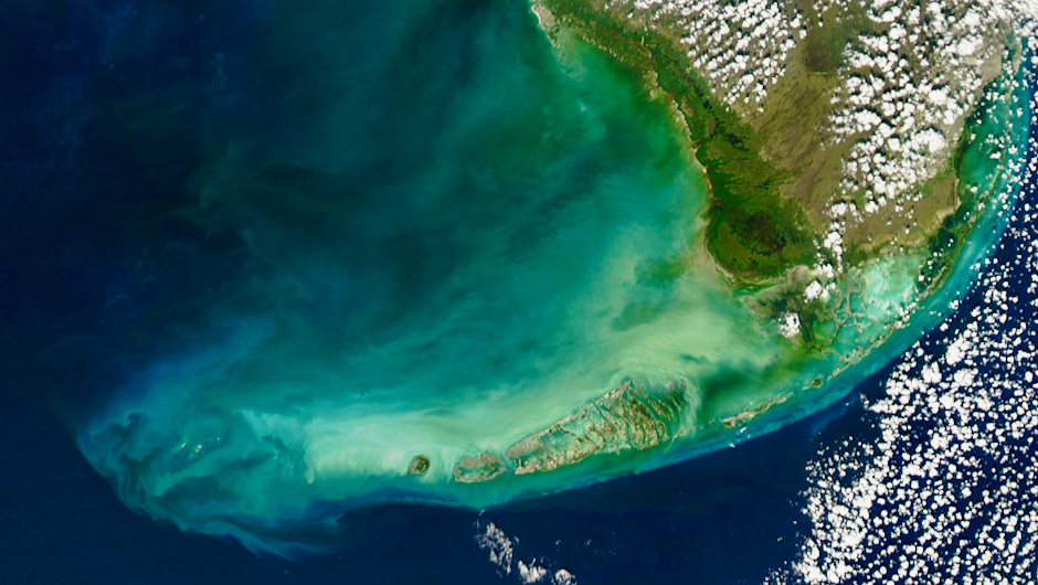 New Habitat Loss in Florida’s World-Famous Coral Reefs