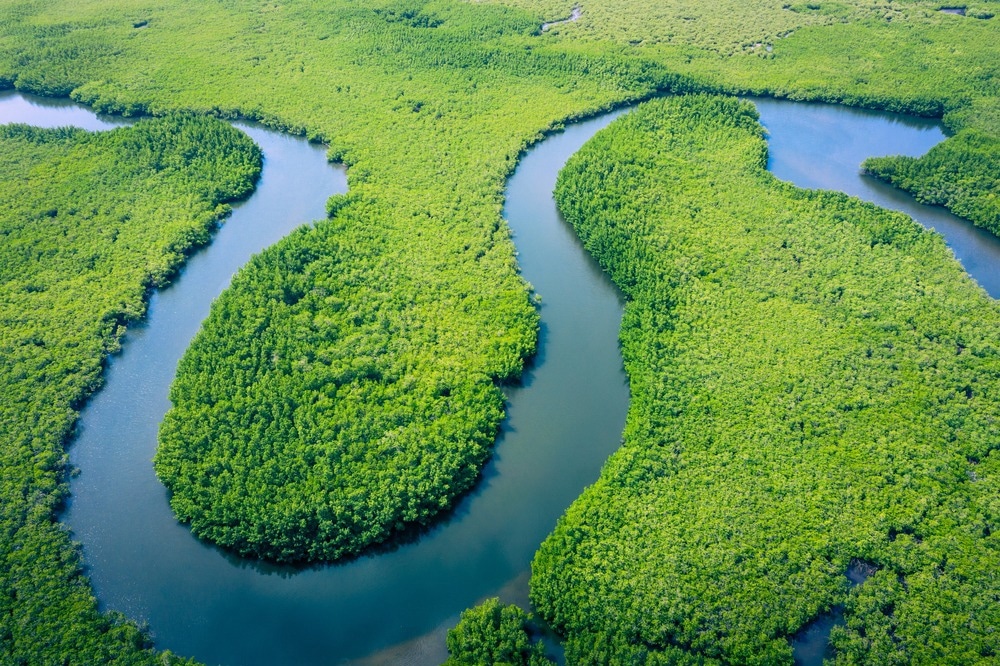 An Analysis on Degradation of Amazon Environment