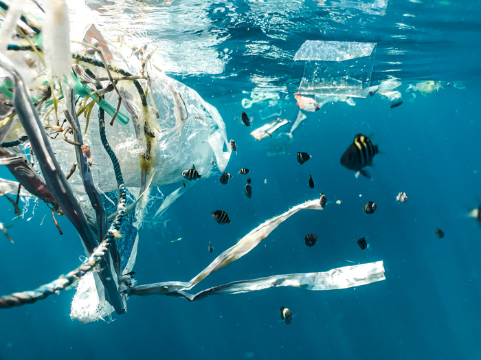带来的挑战Surface-Plastic清理在公海上