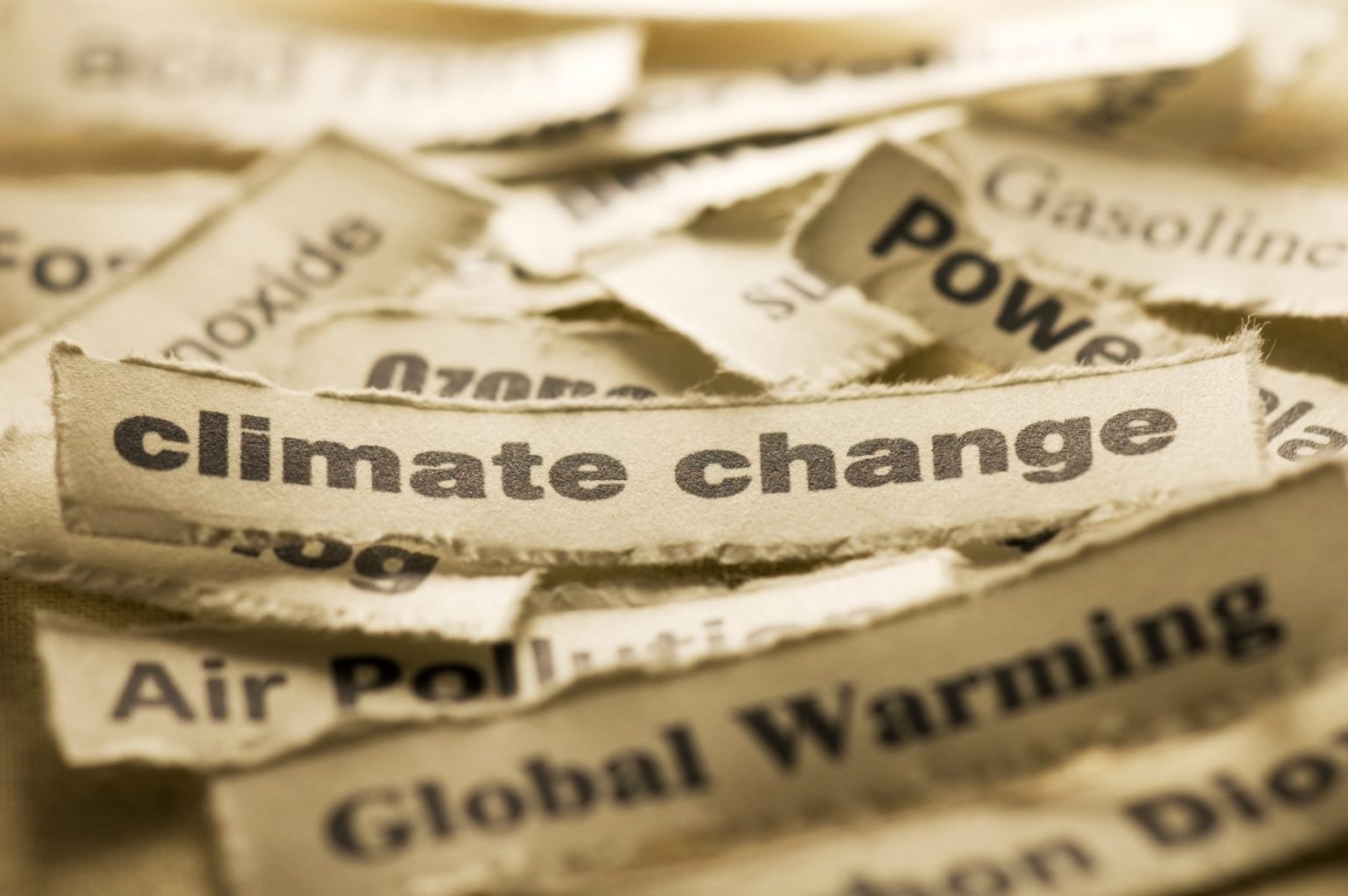 Minimal Impact of Media Coverage on Climate Change Research