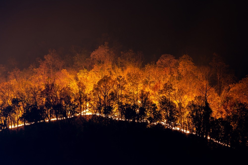 Consequences of Wildfire-Related PM2.5 Exposure on Mortality