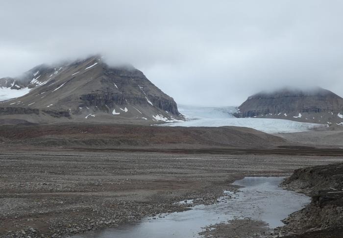 Arctic Dust with High Ice Nucleating Ability Impacts Arctic Clouds