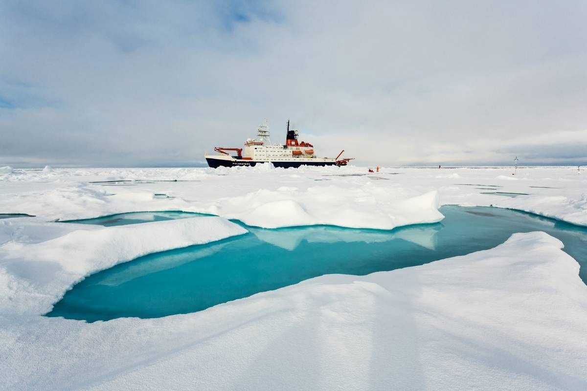 Evaluating the Impact of Sea Ice Retreat on the Arctic Ecosystem
