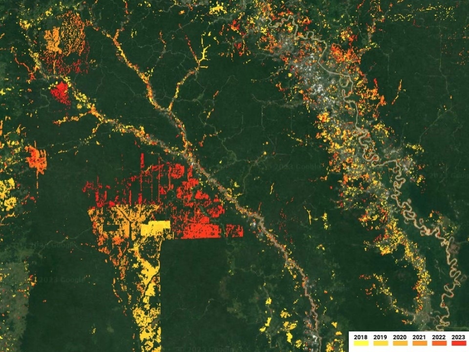 New Cutting-Edge Space Technology to Revolutionize Global Forest Protection