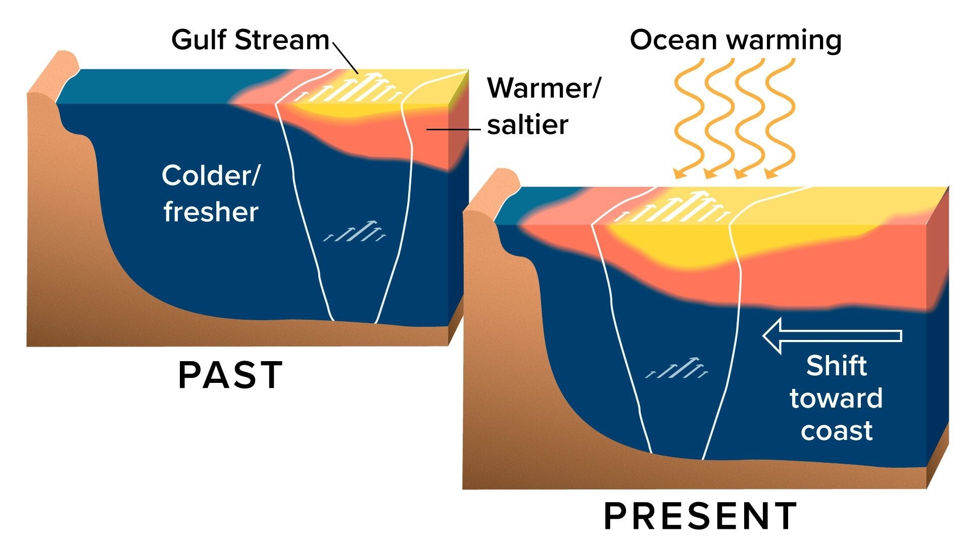 Climate Change Warms and Shifts Gulf Stream