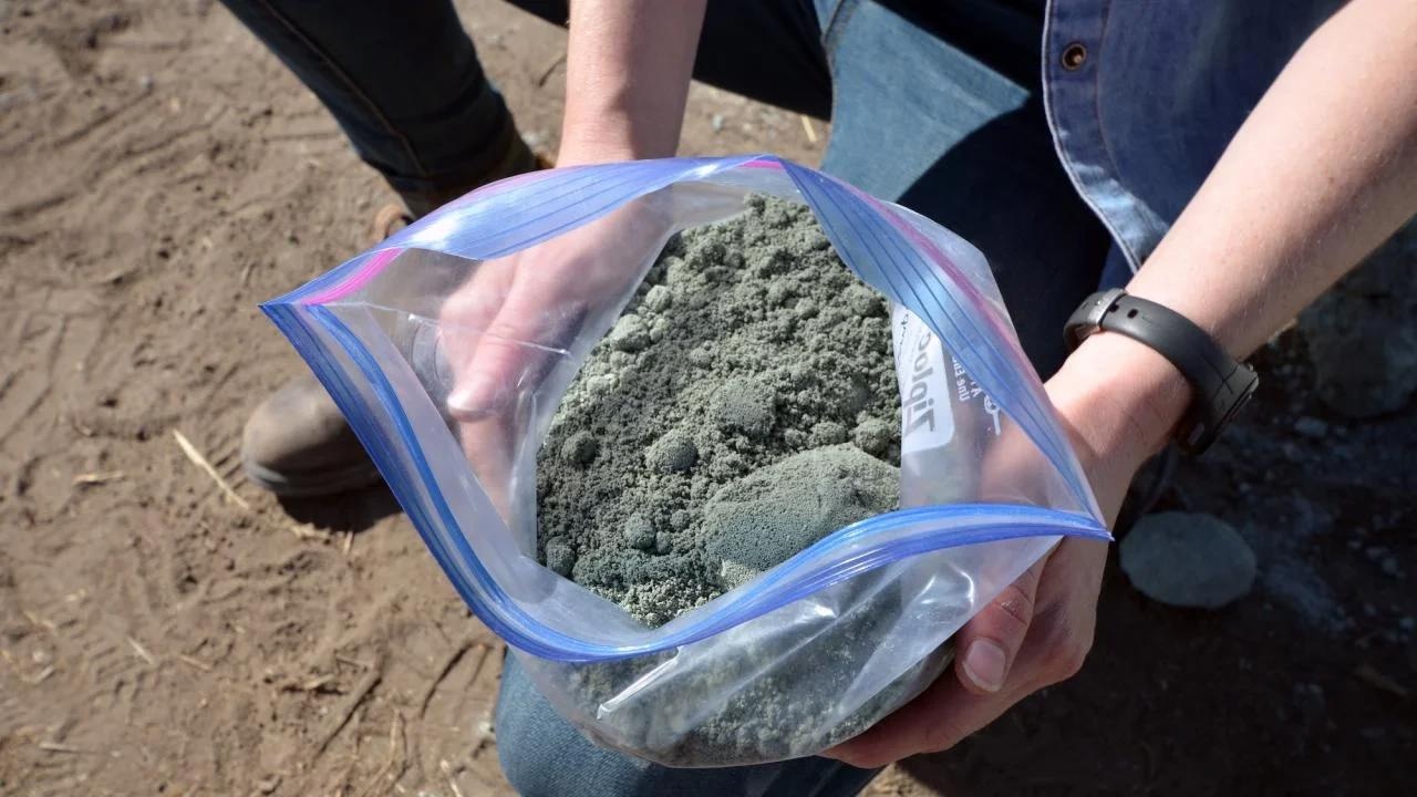 Soils Capture Carbon Even in Arid Environments