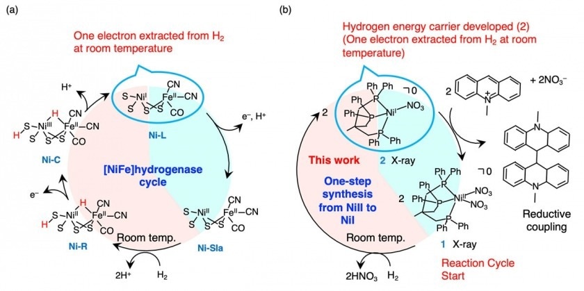 New Way to Extract and Store Electrons from Hydrogen at Room Temperature