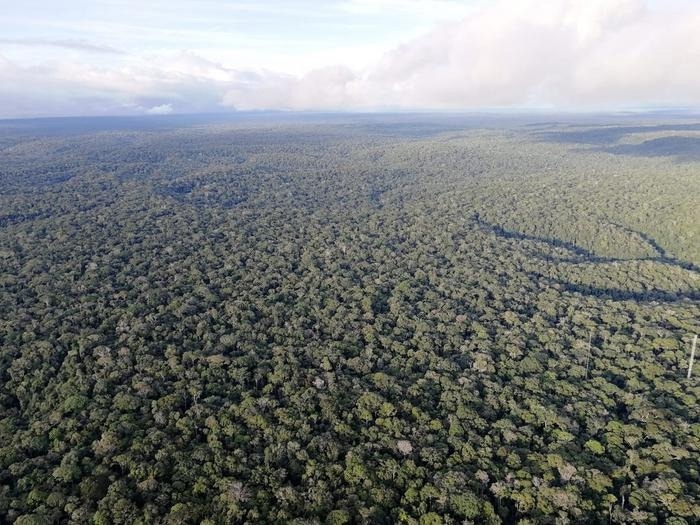 Amazon Deforestation Has a Far-Reaching Warming Effect