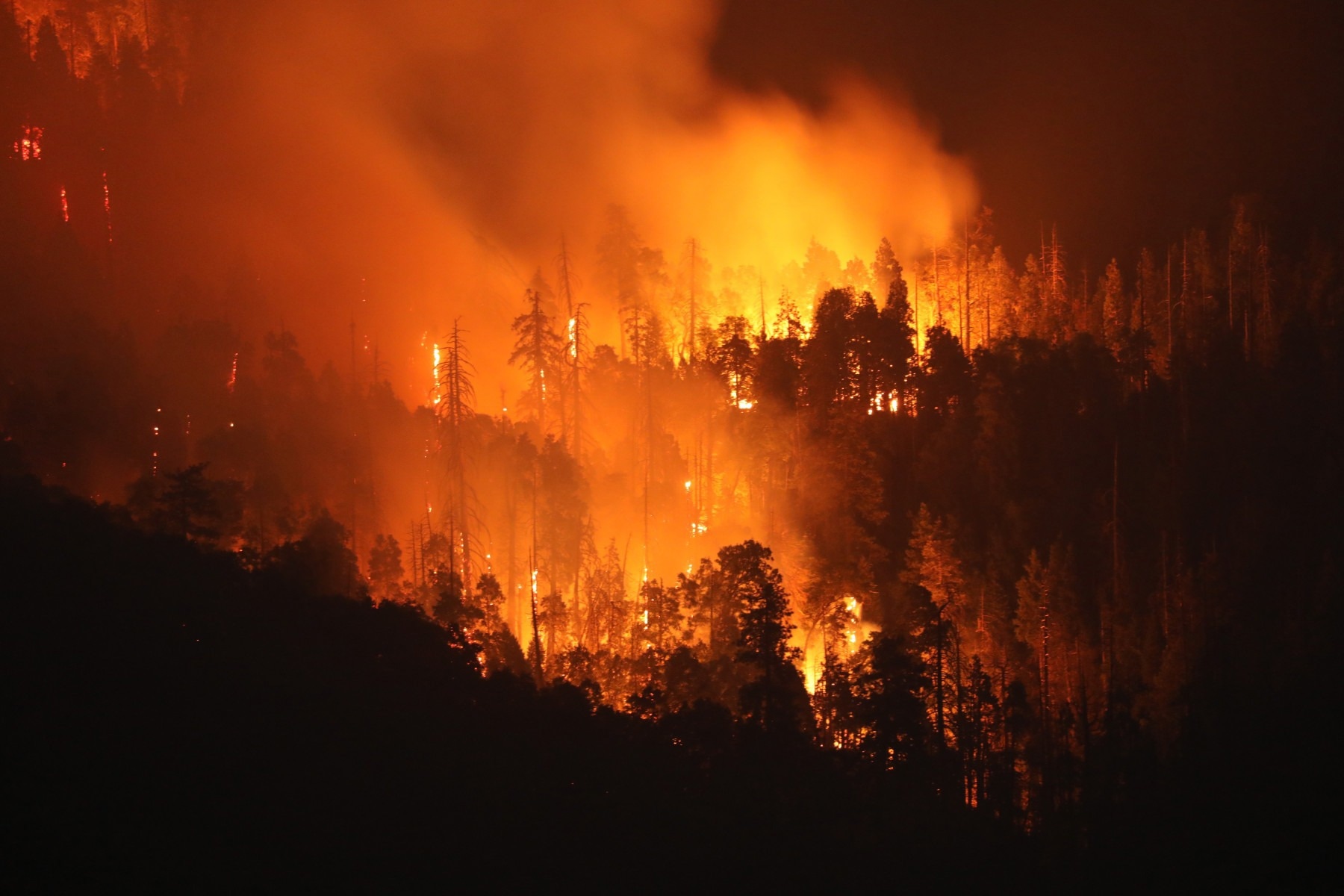 Enhancing the Simulation of Future Wildfire Impacts in the US