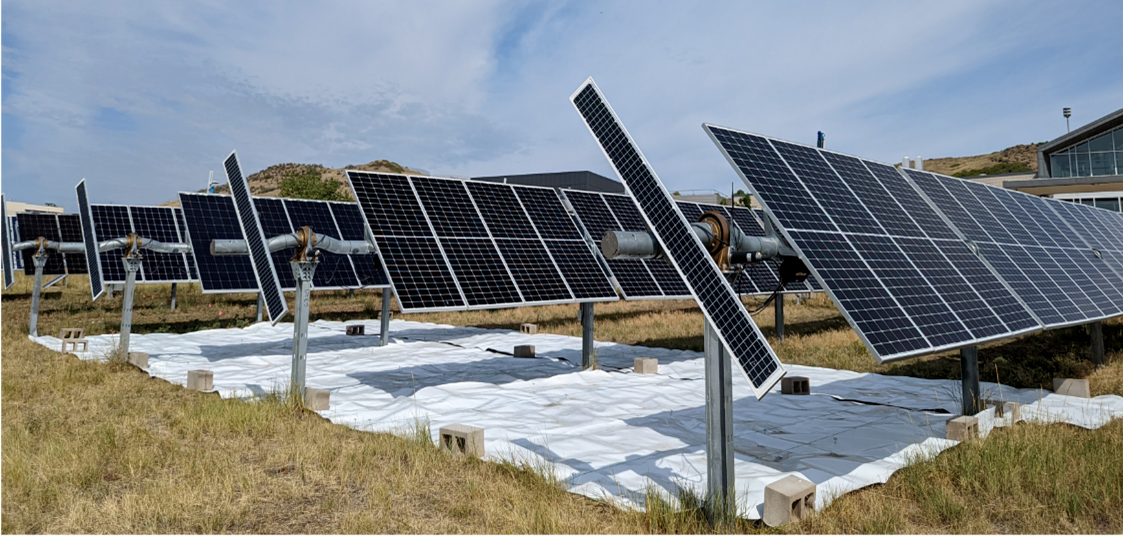 Improve solar panel efficiency with reflective ground cover