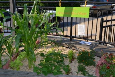 School's Gravel Garden Teaches Sustainable Gardening Practices