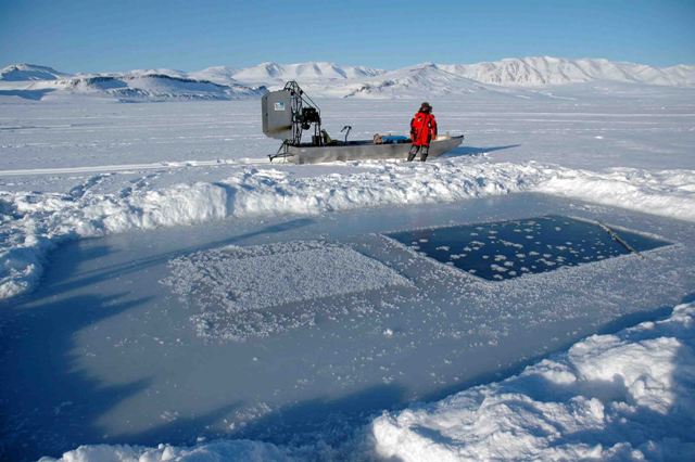 Reduction in Arctic Sea Ice May Increase Atmospheric Concentration of CO2
