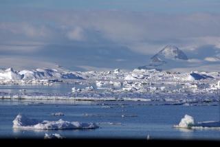 Climate Change Predicted to Have Major Impact on Life in Antarctica