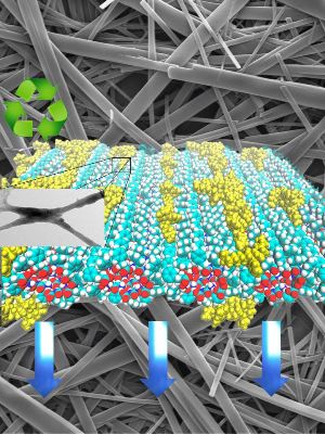 Organic Nanocomposites Hold Promise for Development of Biodegradable Displays