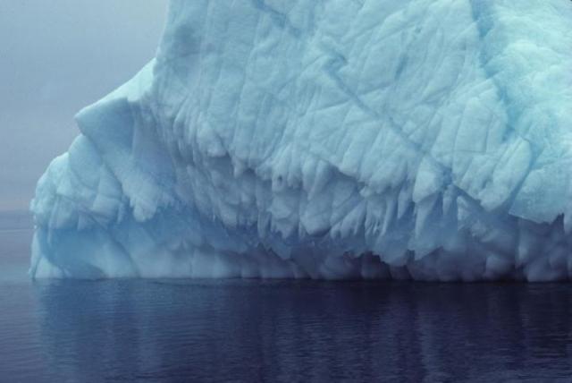 Declining Sea Ice Increases Precipitation in Arctic Climate System