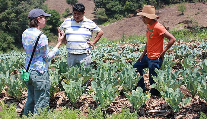 Guatemala Farmers Provided with Climate-Smart Agriculture Strategies and Water Management
