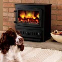 Chelsea Solo Multi-Fuel Stoves from Villager