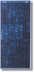 Sunelco Offers BP3160 Solar Panels