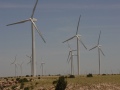 Groundbreaking Partnership to Better Understand Impacts of Wind Power Development