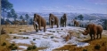 Woolly Mammoths Driven to Extinction by Climate Change and Human Impacts