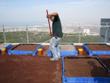 University of Haifa Dedicates Israel's First Research Center for Green Roofs Ecology