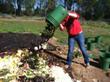 Waste Food Becomes Part of Compost Pile in Lehigh Community Garden