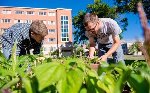 Michigan Tech’s Sustainable Vegetable Garden May Raise Food Awareness