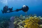 Catlin Seaview Survey to Focus on Coral Reefs in the Caribbean and Bermuda