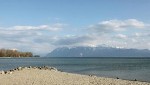 EPFL Researchers Track Micropollutants in Lake Geneva Using Computer Simulations