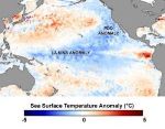 Pacific Decadal Oscillation, Anthropogenic Pollutants May Have Caused Widening of Tropical Belt