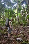 TRACE Project to Study Impact of Climate Change on Tropical Rainforests