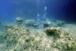 Tropical Rabbitfish Pose a Major Threat to the Mediterranean Ecosystem