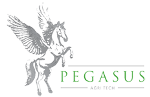 Pegasus Agritech Implements Soilless Farming Technology to Address Food and Water Scarcity Issues