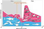 Repeated Extinction Events Played Key Role in Development of Today’s Fish Fauna