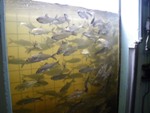 Researchers Develop New Model to Test How Dams Affect Viability of Sea-Run Fish Species
